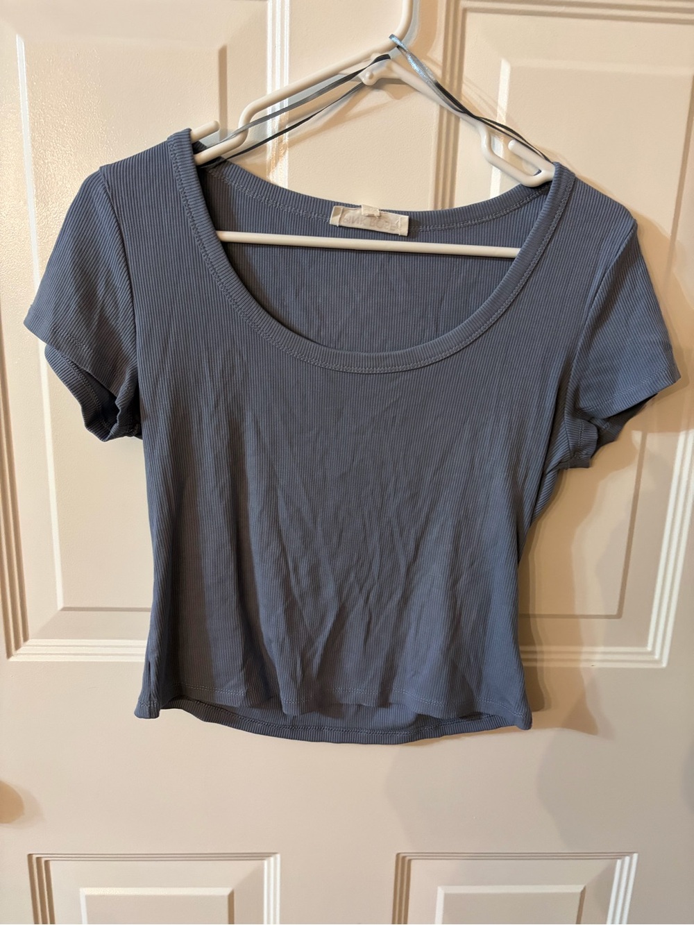 Pink Rose Ribbed Scoop Crop Top in Dusty Blue